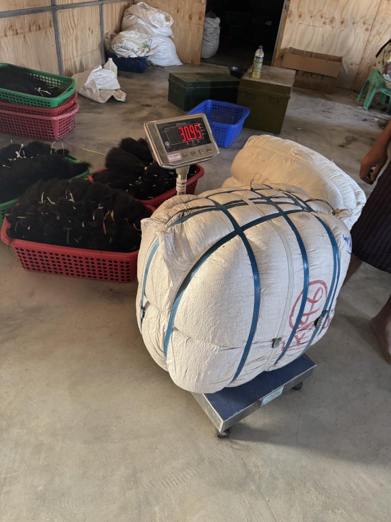 viber_image_2026-01-01_16-11-29-477