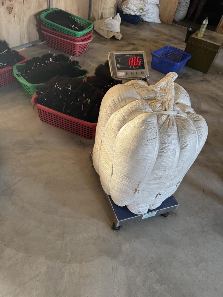 viber_image_2026-01-01_16-11-30-456