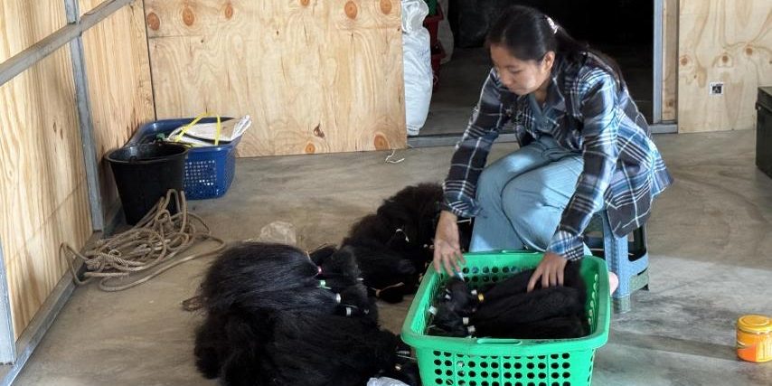 viber_image_2026-02-24_09-50-21-959