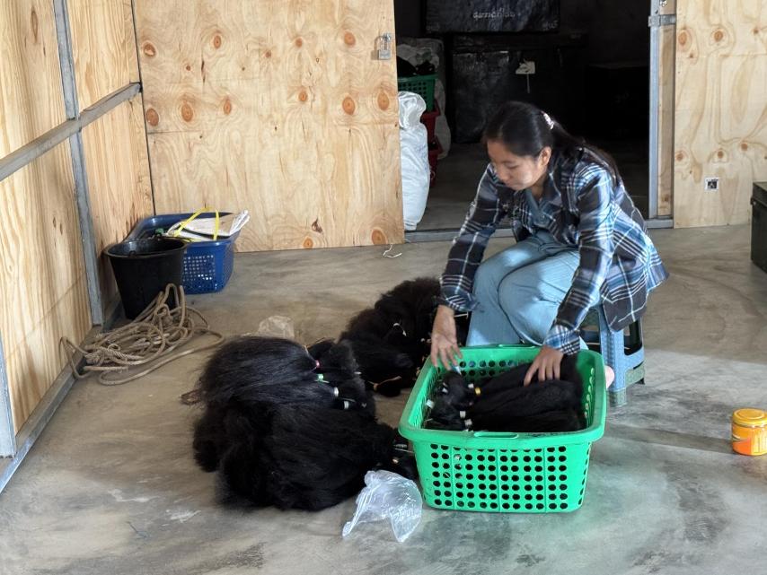 viber_image_2026-02-24_09-50-21-959